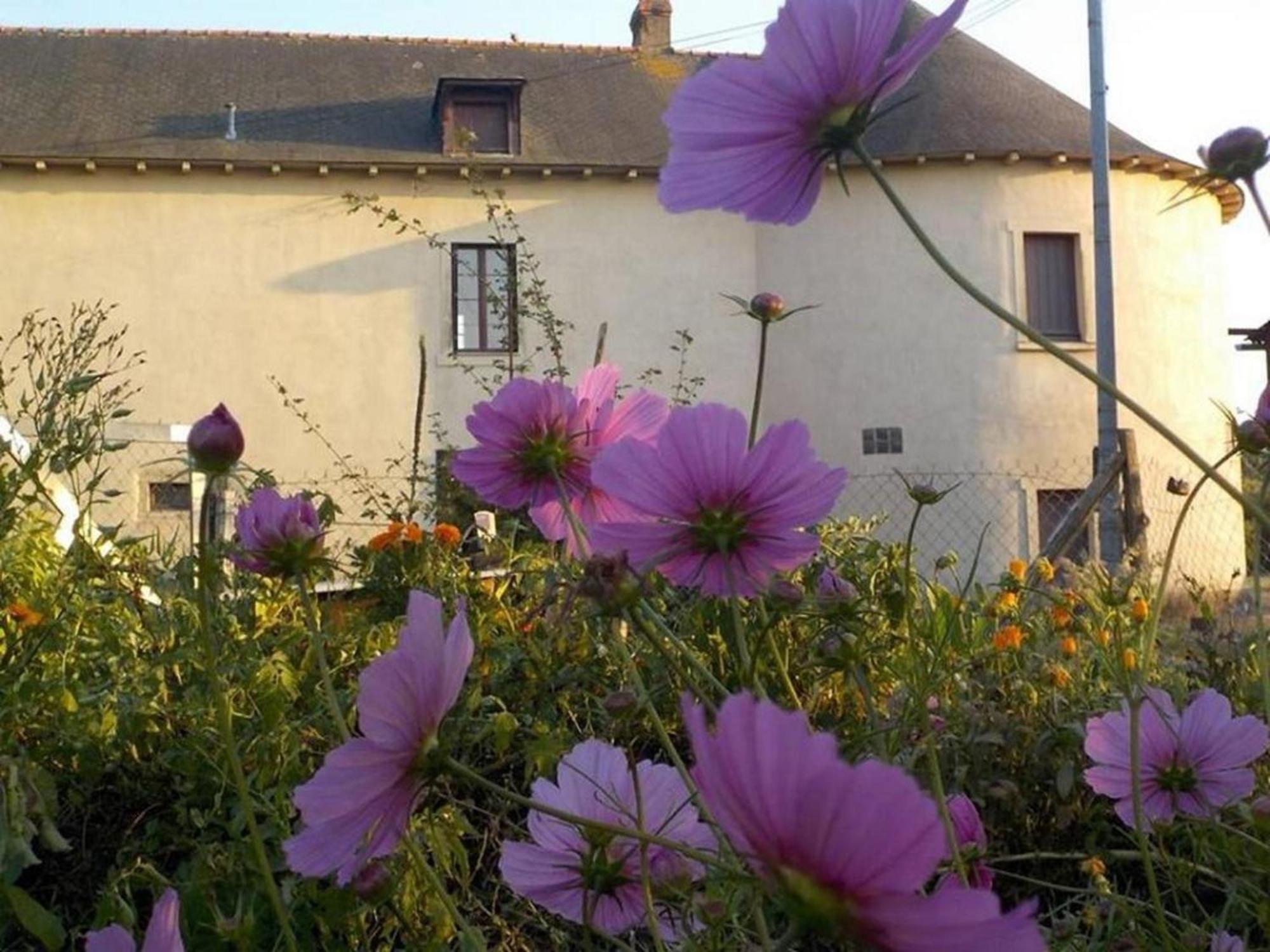Manoir De La Guignardiere - Charme Et Douceur Chavagne Exterior foto
